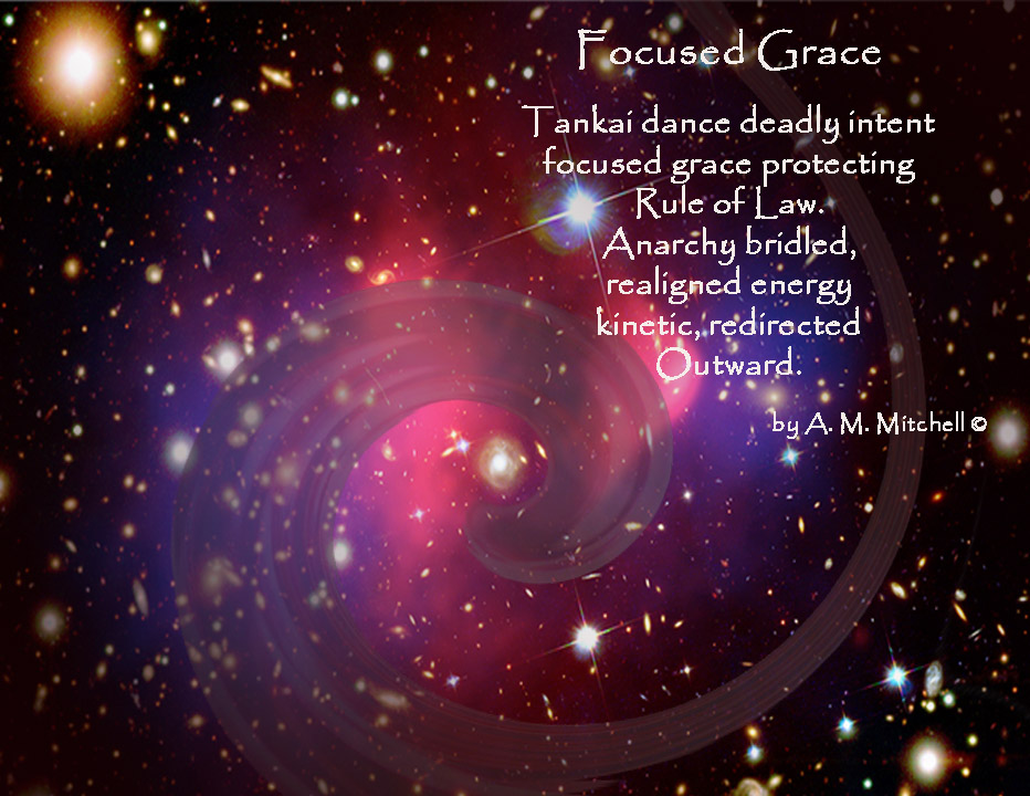 Focused Grace Tankai dance deadly intent focused grace protecting Rule of Law. Anarchy bridled, realigned energy kinetic, redirected outward. by A. M. Mitchell ©