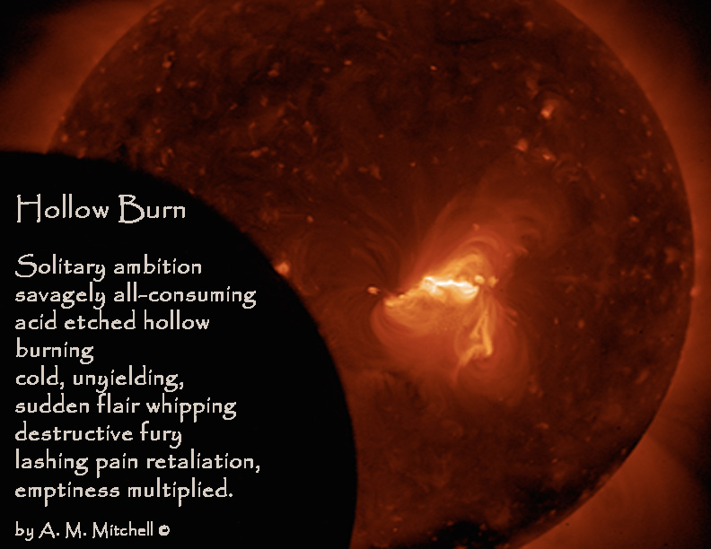 Hollow Burn Solitary ambition savagely all-consuming acid etched hollow burning cold, unyielding, sudden flair whipping destructive fury lashing pain retaliation, emptiness multiplied. by A. M. Mitchell ©