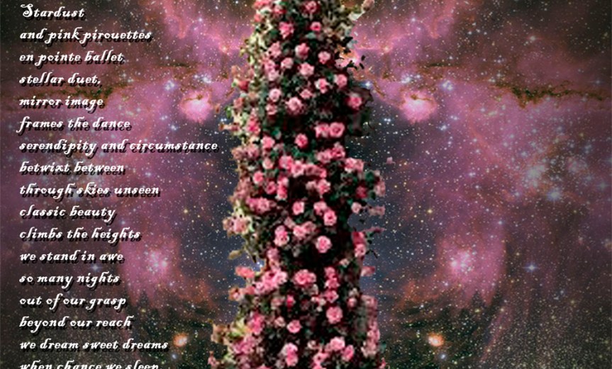 Serendipity & Circumstance Stardust and pink pirouettes en pointe ballet stellar duet, mirror image frames the dance serendipity and circumstance betwixt between through skies unseen classic beauty climbs the heights we stand in awe so many nights out of our grasp beyond our reach we dream sweet dreams when chance we sleep. by A. M. Mitchell ©