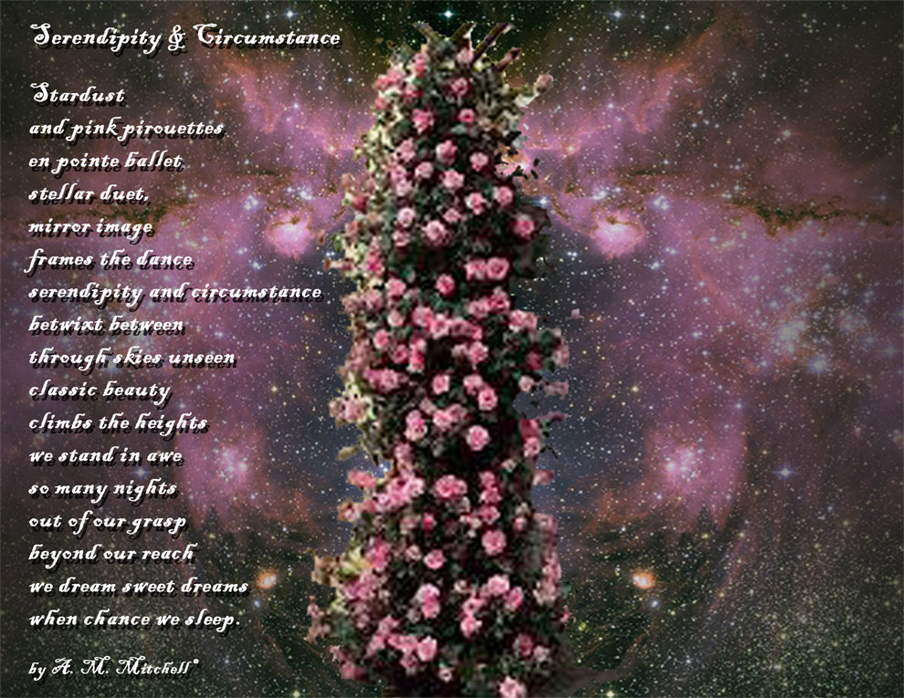 Serendipity & Circumstance Stardust and pink pirouettes en pointe ballet stellar duet, mirror image frames the dance serendipity and circumstance betwixt between through skies unseen classic beauty climbs the heights we stand in awe so many nights out of our grasp beyond our reach we dream sweet dreams when chance we sleep. by A. M. Mitchell ©