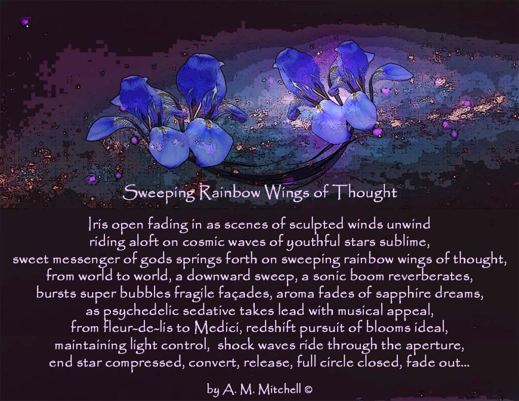 Sweeping Rainbow Wings of Thought Iris open fading in as scenes of sculpted winds unwind riding aloft on cosmic waves of youthful stars sublime, sweet messenger of gods springs forth on sweeping rainbow wings of thought, from world to world, a downward sweep, a sonic boom reverberates, bursts super bubbles fragile façades, aroma fades of sapphire dreams, as psychedelic sedative takes lead with musical appeal, from fleur-de-lis to Medici, redshift pursuit of blooms ideal, maintaining light control, shock waves ride through the aperture, end star compressed, convert, release, full circle closed, fade out… by A. M. Mitchell ©
