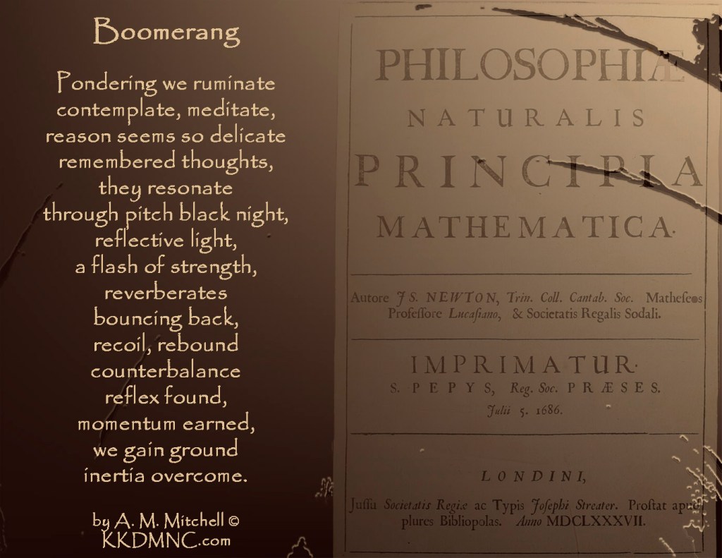 Boomerang Pondering we ruminate contemplate, meditate, reason seems so delicate remembered thoughts, they resonate through pitch black night, reflective light, a flash of strength, reverberates bouncing back, recoil, rebound counterbalance reflex found, momentum earned, we gain ground inertia overcome. by A. M. Mitchell © KKDMNC.com